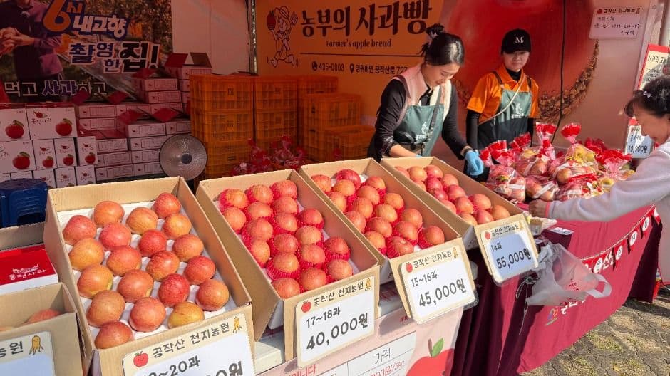 홍천 사과축제