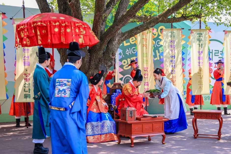 양평 용문산 산나물축제