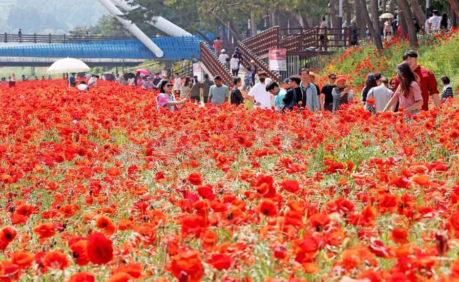 괴산빨간맛페스티벌